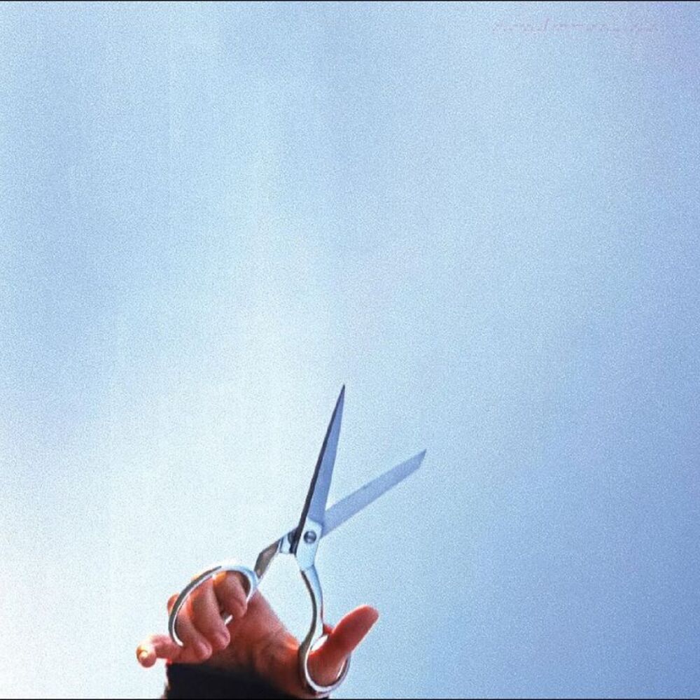 Afternoon Bike Ride - Running With Scissors  LP LP
